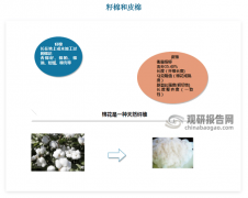 中国棉花行业成长趋向阐发取投资前景预测演讲